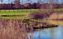 Countesthorpe Ponds (2)